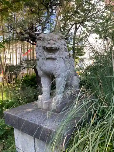 鵠沼伏見稲荷神社の狛犬