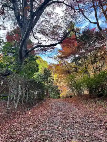 神藏寺(京都府)