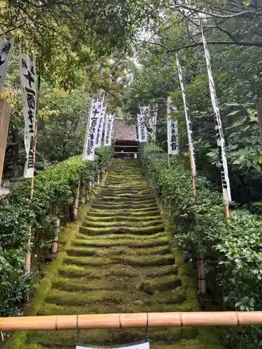 杉本寺の御朱印