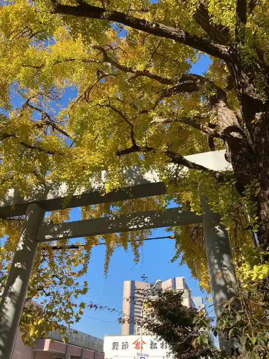 波除神社(波除稲荷神社)の鳥居