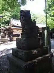 南沢氷川神社の狛犬