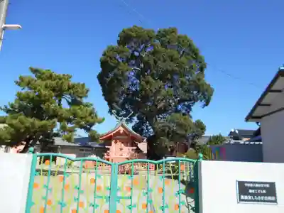 風浪宮(福岡県)