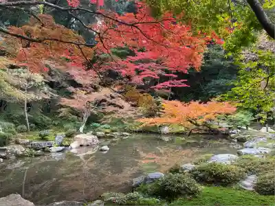 南禅院(京都府)