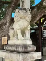 石切劔箭神社(大阪府)