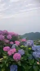 彌彦神社奥宮（御神廟）の景色