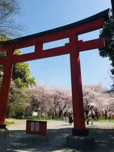 平野神社の鳥居