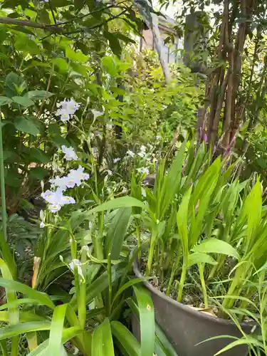 谷中 妙福寺(東京都)