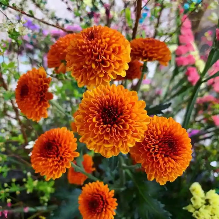 滑川神社 - 仕事と子どもの守り神の手水舎