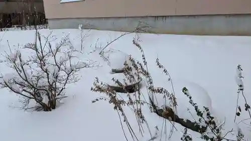 龍王神社の庭園