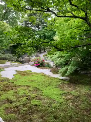 興聖寺(京都府)