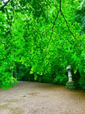 香取神宮(千葉県)