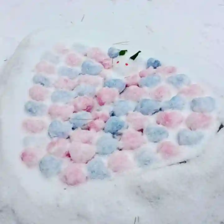 彌彦神社 (伊夜日子神社)(北海道)