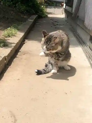 天麟院(宮城県)
