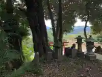 嚴嶋神社の景色