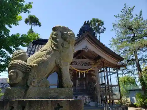 本保神社の狛犬