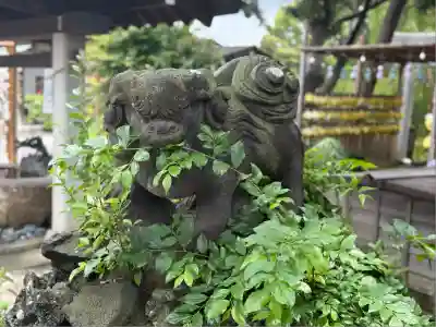 菊田神社(千葉県)