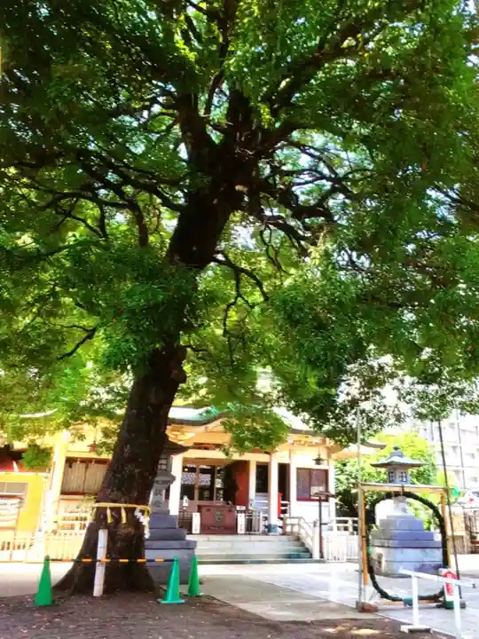 荻窪白山神社(東京都)