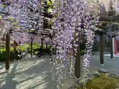 祐徳稲荷神社の庭園