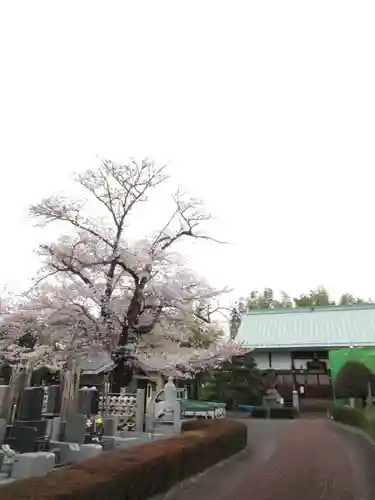 真光寺(千葉県)