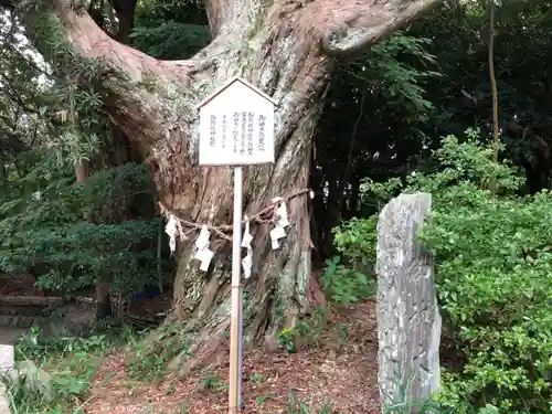 白羽神社の建物その他