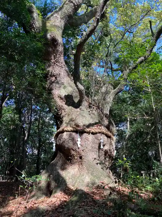 熱田神宮の自然