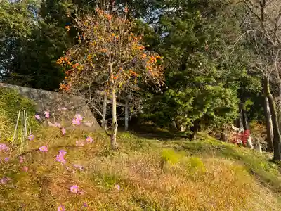 若宮八幡神社(山梨県)