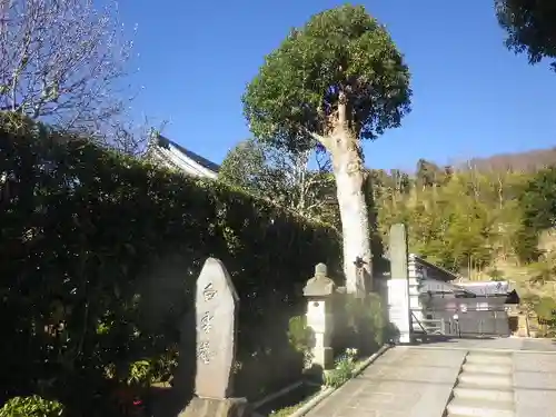 白雲庵のその他建物