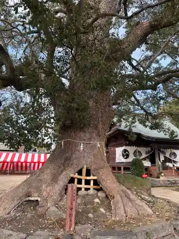六所神社(六所宮)(福岡県)