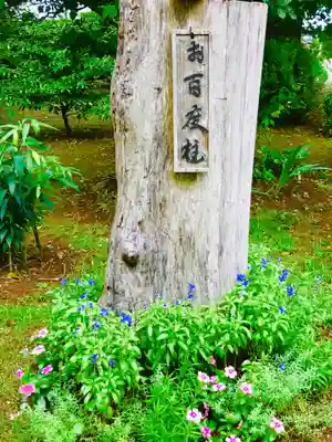 千勝神社のその他建物