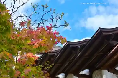 伊勢山皇大神宮(神奈川県)
