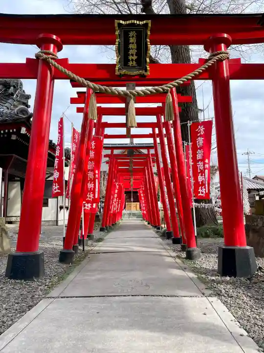 於菊稲荷神社の鳥居