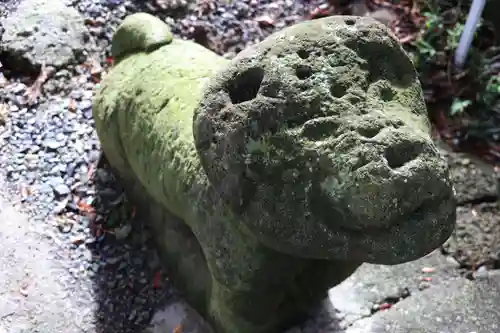 阿久津「田村神社」（郡山市阿久津町）旧社名：伊豆箱根三嶋三社の狛犬