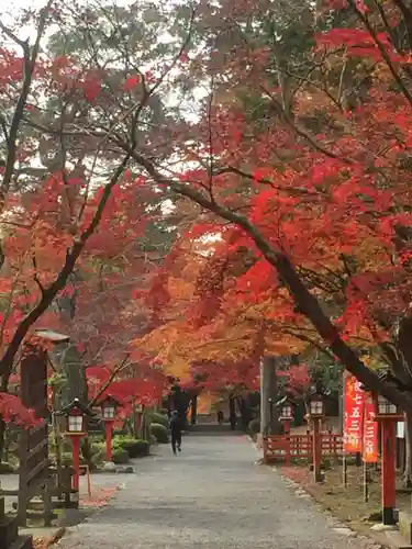 大原野神社の景色