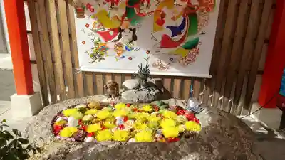 御朱印を受け取りに 初詣行った時の手水舎です。毎月変わります。