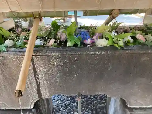 鳩森八幡神社の手水舎