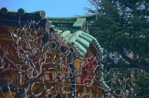 根津神社の本殿