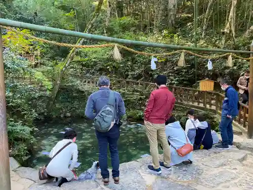 八重垣神社の庭園