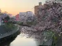 泉町一丁目(北部)延命地蔵尊の周辺