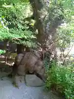 來宮神社の自然