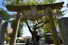 阿邪訶根神社の鳥居