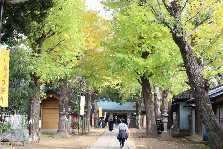 駒込天祖神社(東京都)