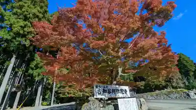 古知谷阿弥陀寺の自然