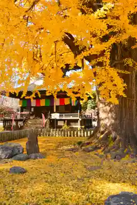 鑁阿寺(栃木県)