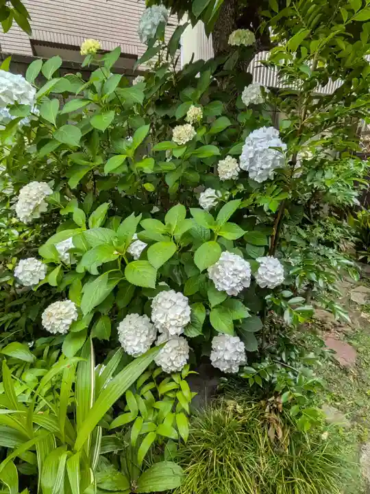 四谷於岩稲荷田宮神社(東京都)