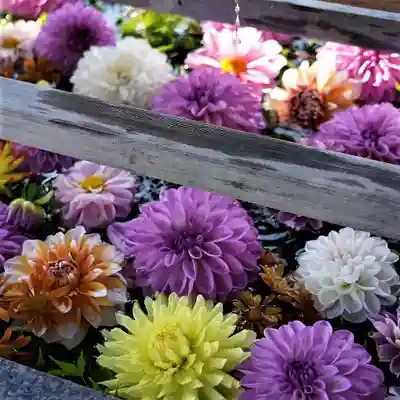 豊景神社の手水舎