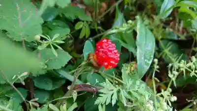 稲荷神社（伊豆の国市）(静岡県)