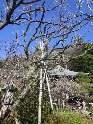 瑞泉寺の庭園