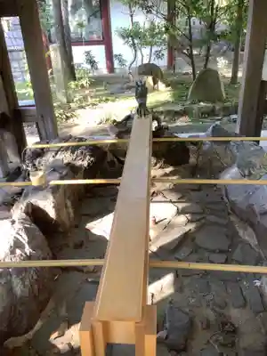 市原稲荷神社の手水舎