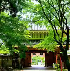 目の霊山　油山寺の山門