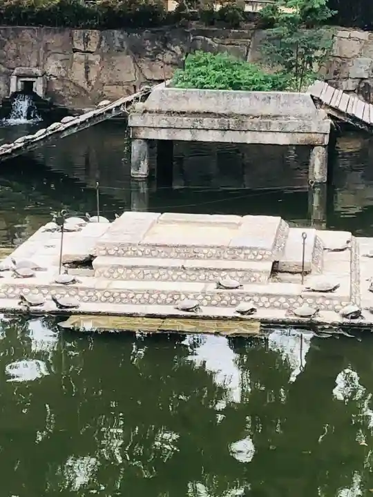 四天王寺の庭園